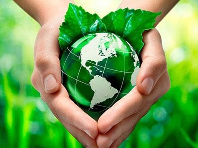 Política de Calidad y Medioambiente Fundación Lar