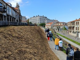 Pontevedra