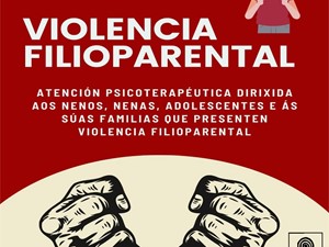 Programa de Intervención en Violencia Filioparental - 9