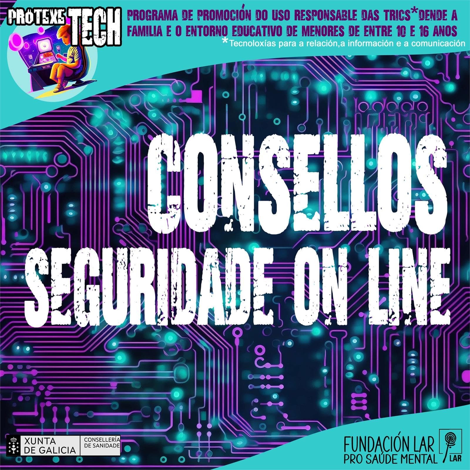 ProtexeTECH - Seguridade Online - Imagen 1